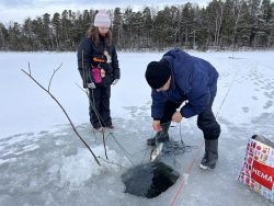 Joulukalan pyynnissä - Fishing for the Christmas Fish