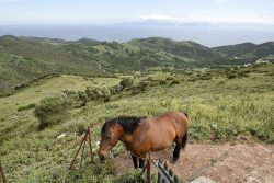 Parque Natural del Estrecho, Tarifa, Costa de la Luz, Espanja (Spain)