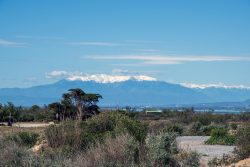 Leucate, Côte d'Améthyste, Ranska (France)