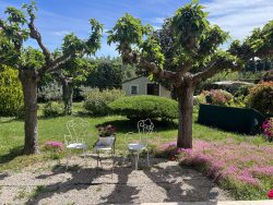 Aulin ihana puutarha - Auli's lovely garden