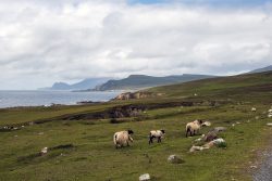 Achill Island, Irlanti (Ireland)