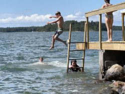 Hyppylaituri oli yksi kesän vetonauloja - The diving dock was one of the summer's highlights