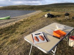 Päivän ruoka - Meal of the Day